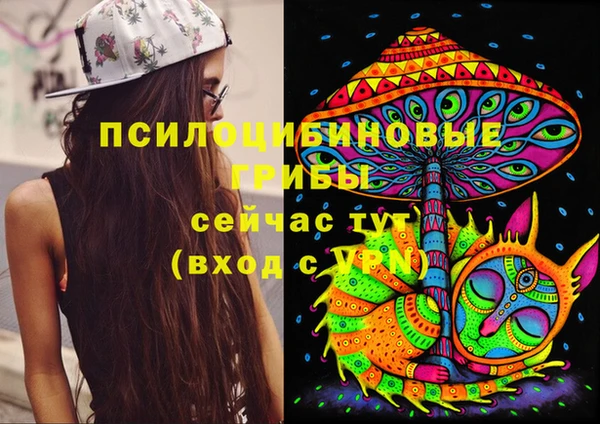 мяу мяу мука Дмитров