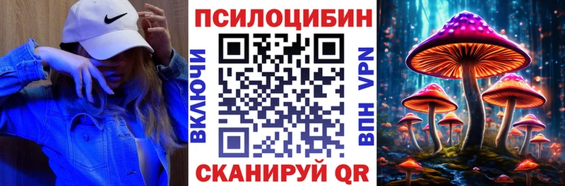 мега вход Фурманов Псилоцибиновые грибы GOLDEN TEACHER